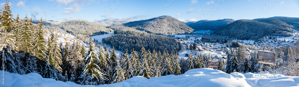 Foto de La forêt domaniale de Gérardmer vu depuis la Roche du Page