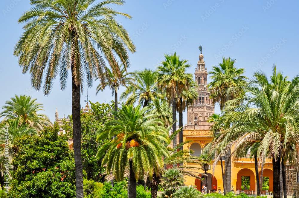 Seville Alcazar gardens and Giralda tower of Seville cathedral, Spain