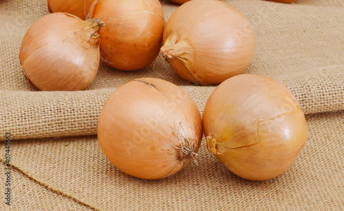 Gold onion vegetable bulbs on burlap background