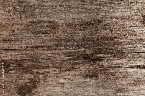 Old textured wood surface with cracks and rusty nail. Natural background of larch boards