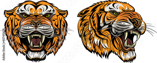 Valokuva Too Tiger Face Color Tattoo