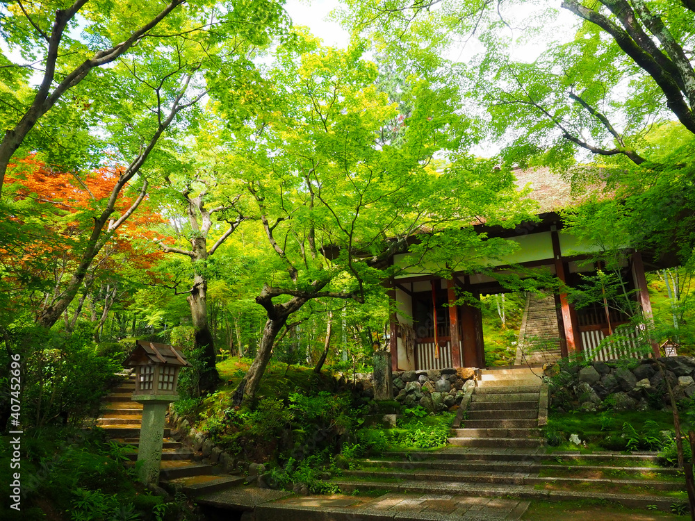 【京都】新緑の嵯峨 常寂光寺