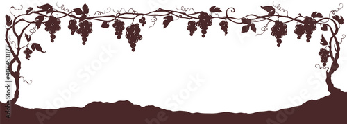 Grapevine - graphic vector illustration. Design element with a twisting vine with leaves and berries, frame, border.