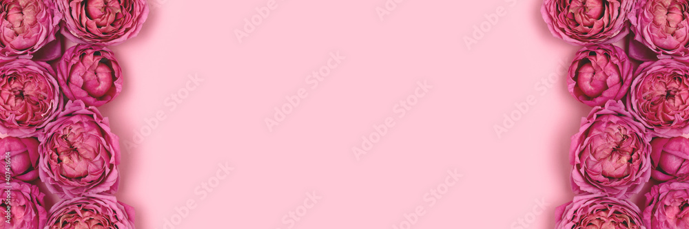Banner with frame made of rose flowers texture on a pink background with copyspace. Monochrome springtime floral composition.