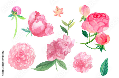 Watercolor set of pink flowers on white isolated background.Collection of Rose,Peony,Rhododendron,Camellia with leaves hand painted.Clip art with botanical illustrations.Designs for packaging,posters.