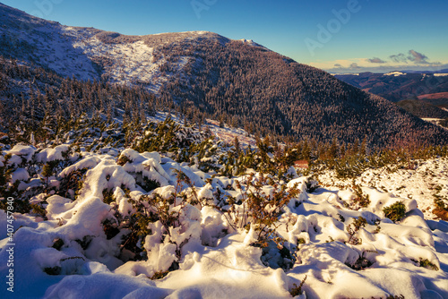 Wallpaper Mural Carpathian mountains and hills with snow-white snow drifts and evergreen trees illuminated by the bright sun Torontodigital.ca