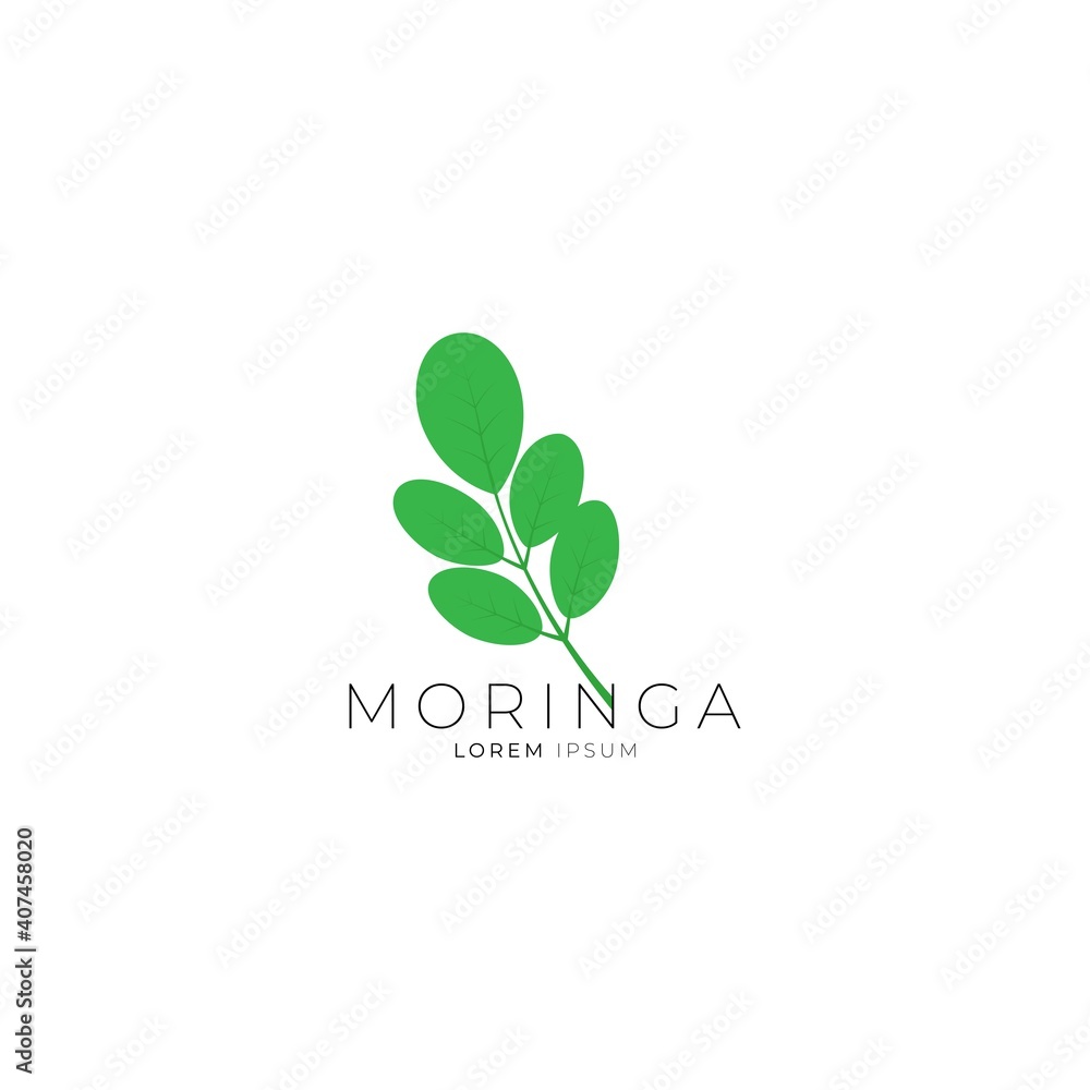 Moringa leaf icon logo vector design template Moringa leaf icon logo vector design template
