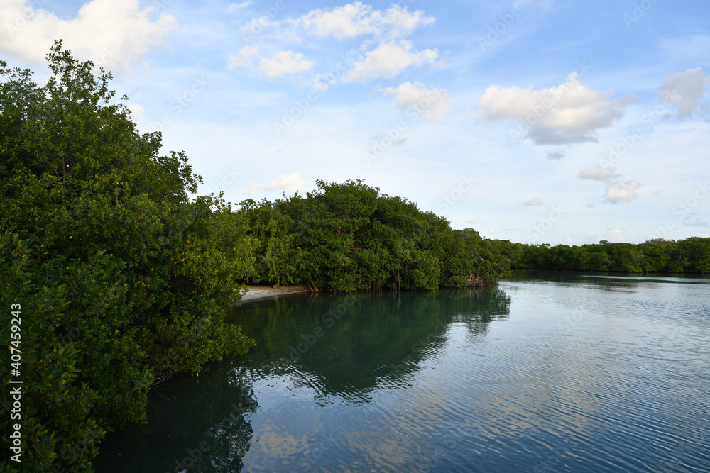 lake in the park