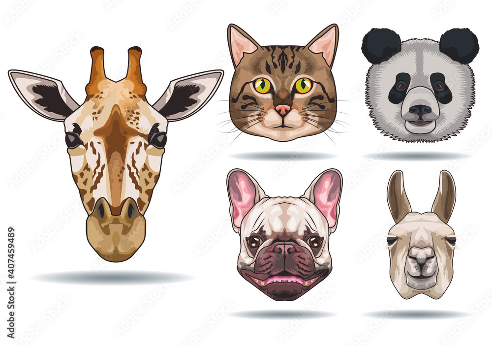 Fototapeta premium bundle of five animals domestics and wild icons