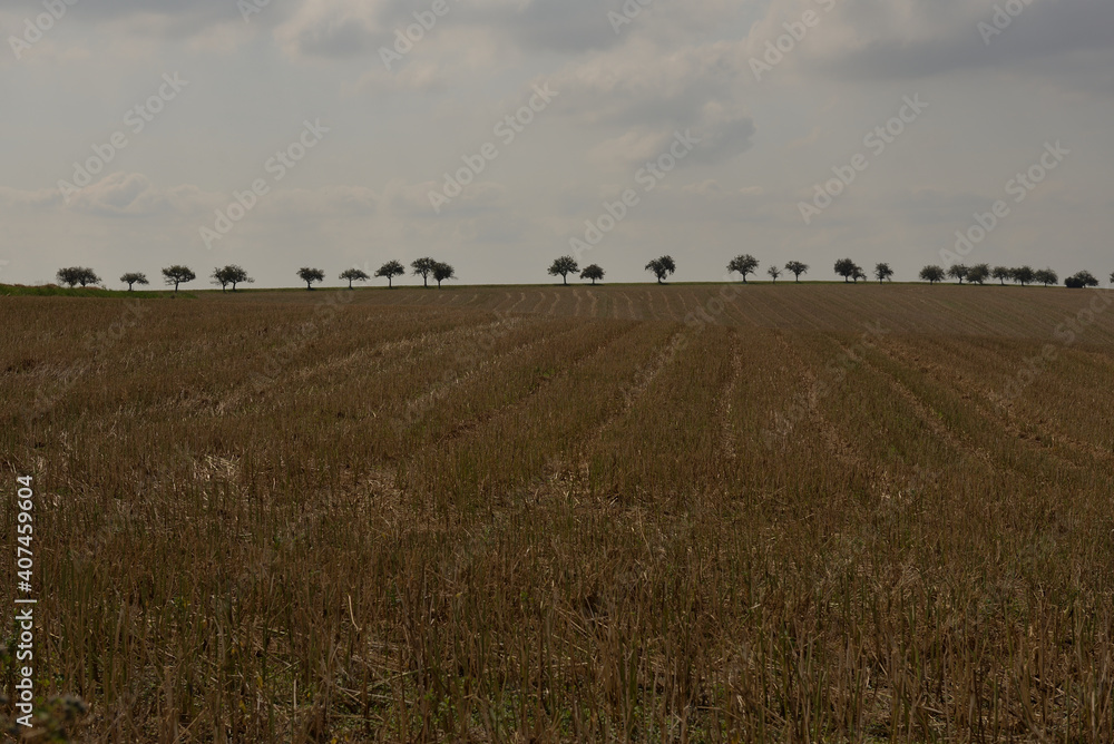 Autumn fields in Kyjov region of Moravia