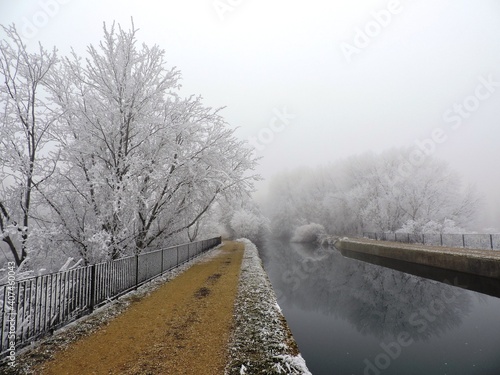 Cencellada en el camino.