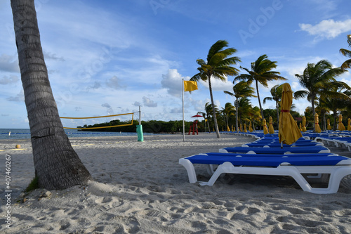 lounge chairs on the beach