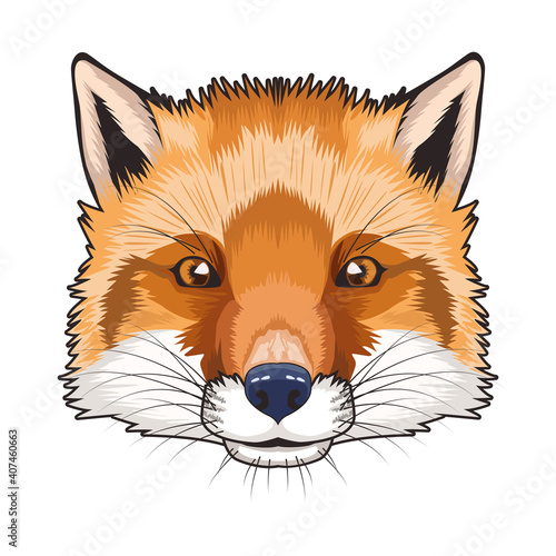 fox animal wild head character in white background
