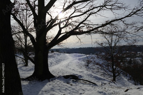 Forest park under lot of snow