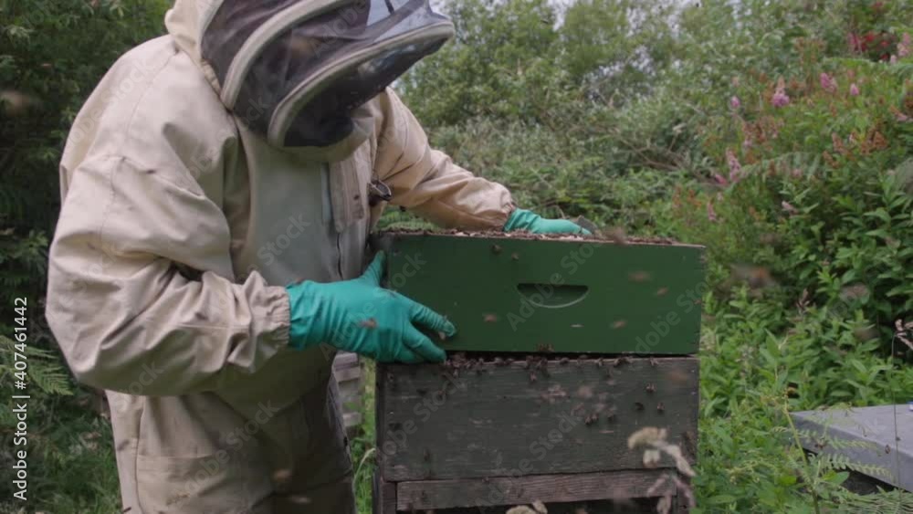 Beekeeper working with beehives in the countryside Beekeeper working with beehives in the countryside