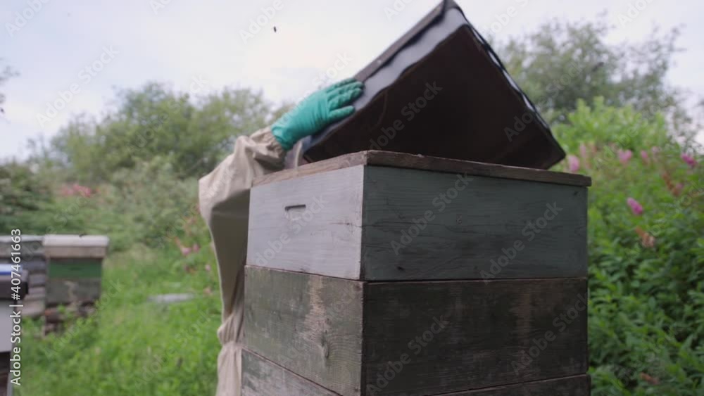 Beekeeper working with beehives in the countryside Beekeeper working with beehives in the countryside