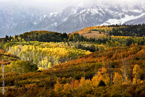 Fotografie The Dallas Divide in Colorado south of Montrose shows late fall colors in 2007 with Mt