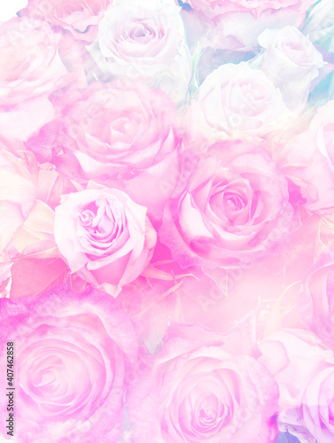 roses in pastel colors - floral background