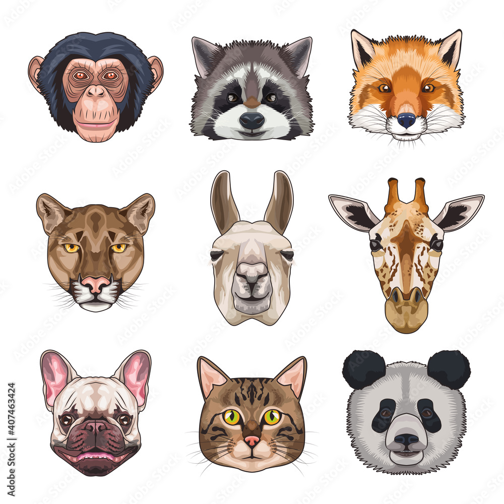 Fototapeta premium bundle of nine animals domestics and wild set icons