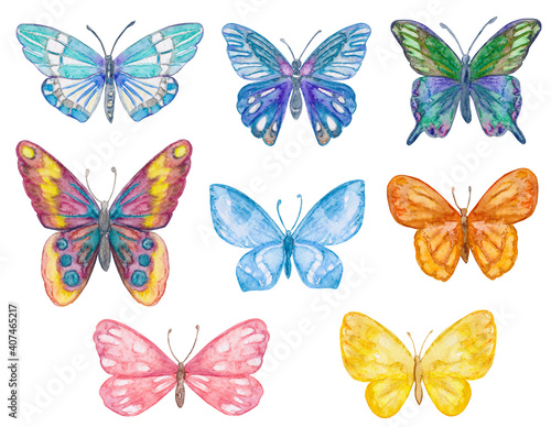 Collection of cute colorful butterflies. watercolor painting © Aloksa