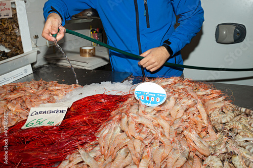 Pescadero regando el marisco en puesto del mercado.