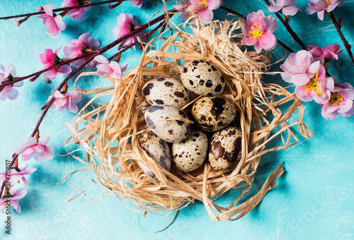 quail eggs inside nest in a easter background