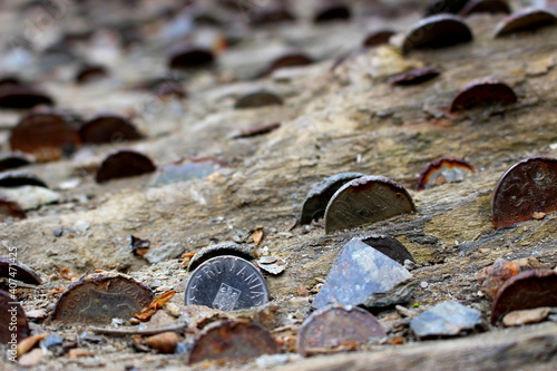 Coins in Heligan Garden photo
