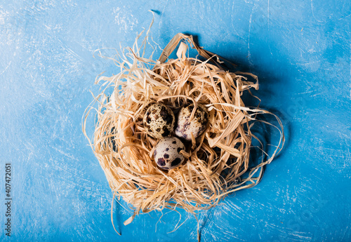quail eggs inside nest over pastel background