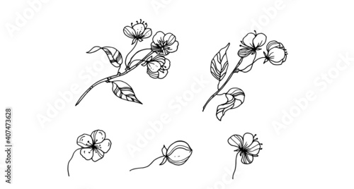 Branch with cherry flowers. Vector illustration. Linear drawing.
