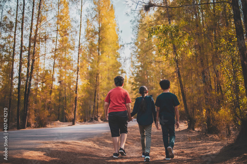 Outdoors togetherness activity concept, Three Asian children kids walking in forest