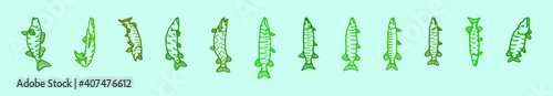 set of muskie fish cartoon icon design template with various models. vector illustration isolated on blue background