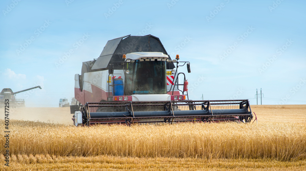 Combine harvesting wheat on sunny summer day Combine harvesting wheat on sunny summer day