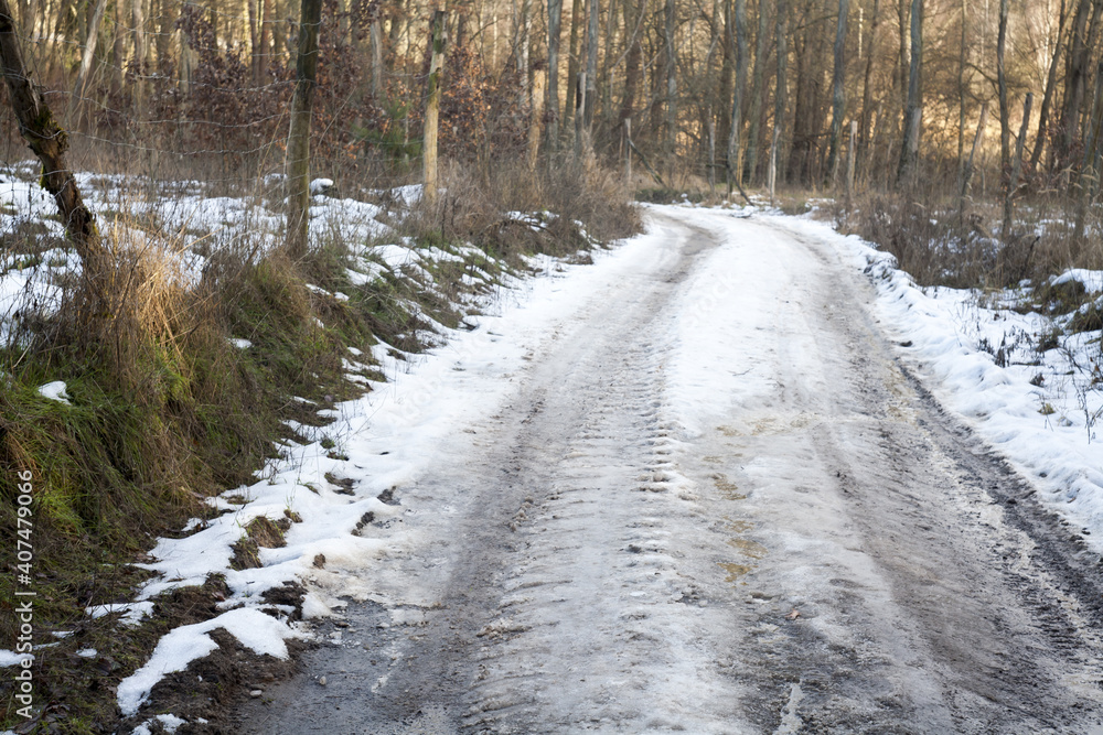 oblodzona zimowa leśna droga oblodzona zimowa leśna droga