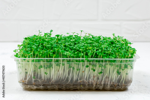 Fresh organic microgreens in a plastic container on a white background. Micro greens. Vegan and healthy food concept.