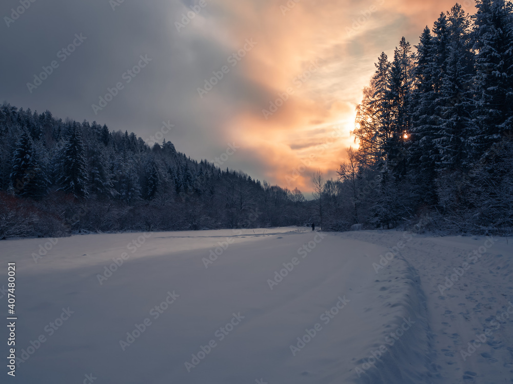 Snowy road at the field and conifer forest on a frosty sunny day. Winter country road with fir forest in the rays of cold winter Sun. Snowy road at the field and conifer forest on a frosty sunny day. Winter country road with fir forest in the rays of cold winter Sun.