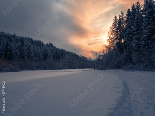 Snowy road at the field and conifer forest on a frosty sunny day. Winter country road with fir forest in the rays of cold winter Sun.
