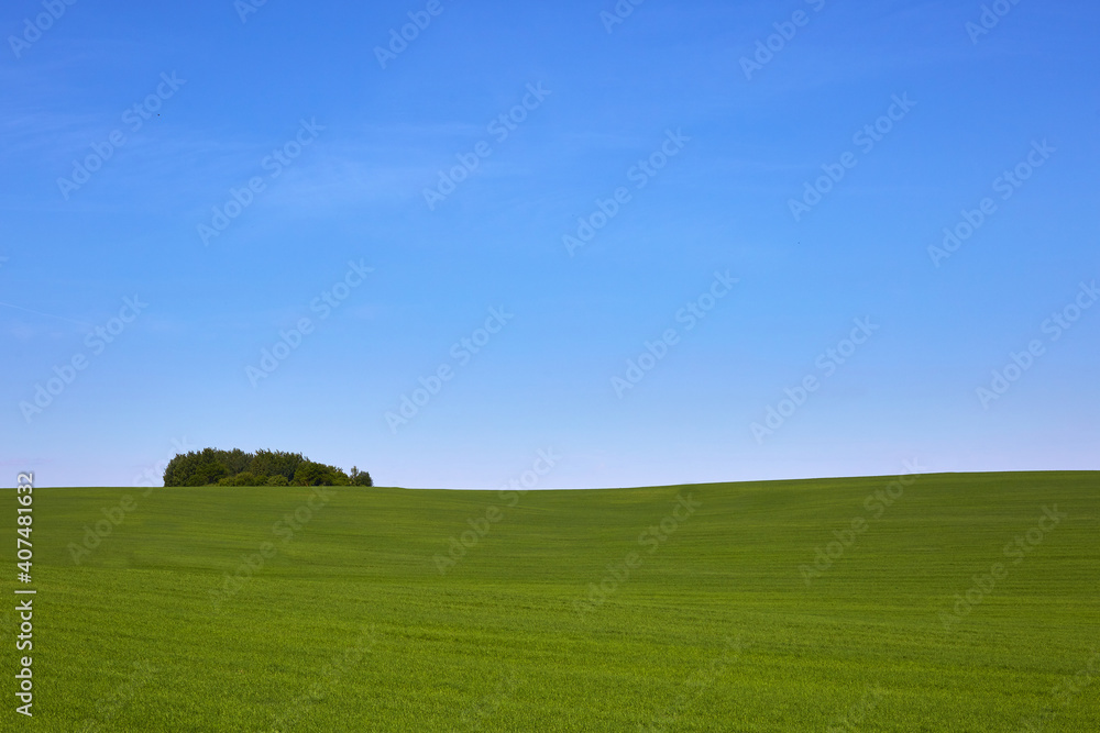 Green field, blue sky and tree. Great as a background,web banner