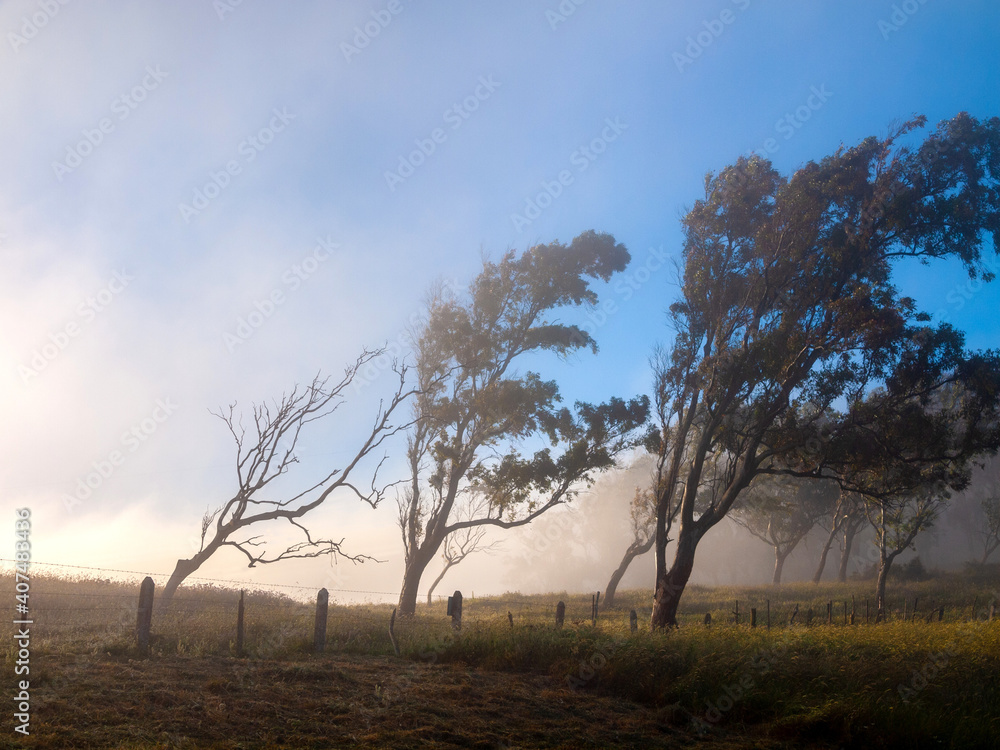 Morning fog above the field in countryside area