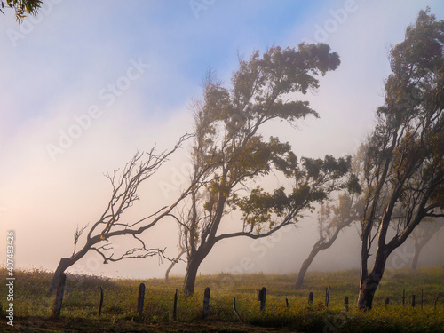 Morning fog above the field in countryside area