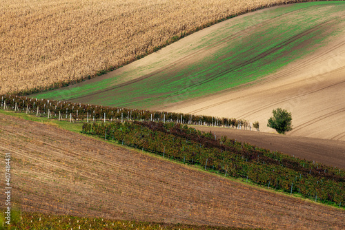 colours and shapes of fields in autumn