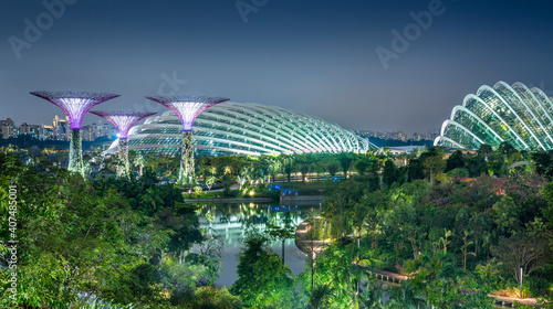 Gardens By The Bay Singapore Supertrees