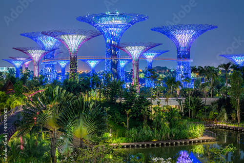 Gardens By The Bay Singapore Supertrees