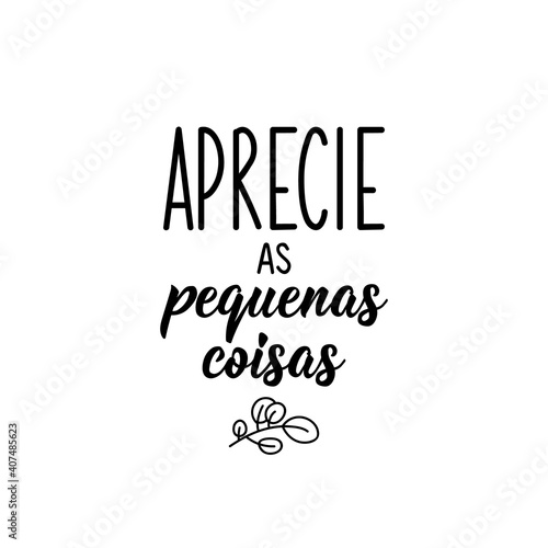 Enjoy the small things in Portuguese. Lettering. Ink illustration. Modern brush calligraphy.