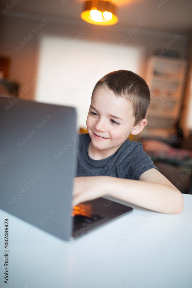 boy using the computer boy using the computer