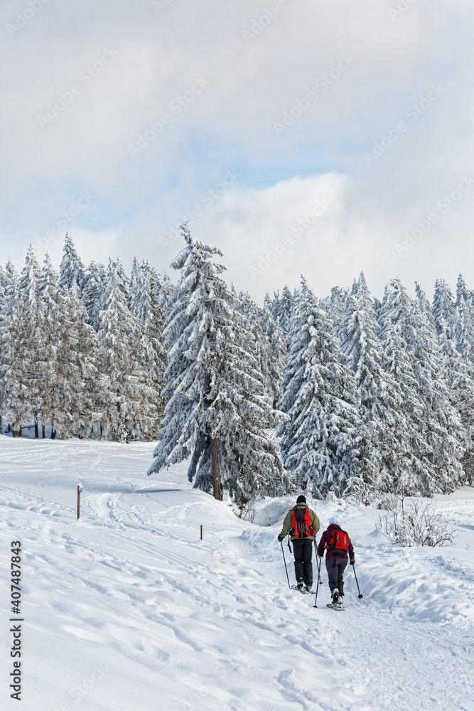 ski de randonnée dans les Vosges