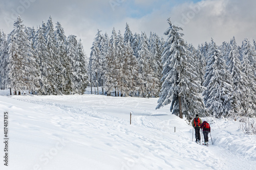 ski de randonnée dans les Vosges