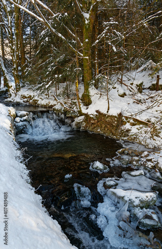Ruisseau de montagne en hiver