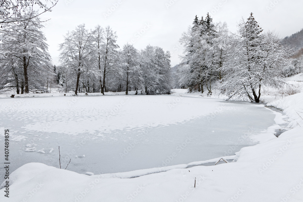 étang gelé en hiver