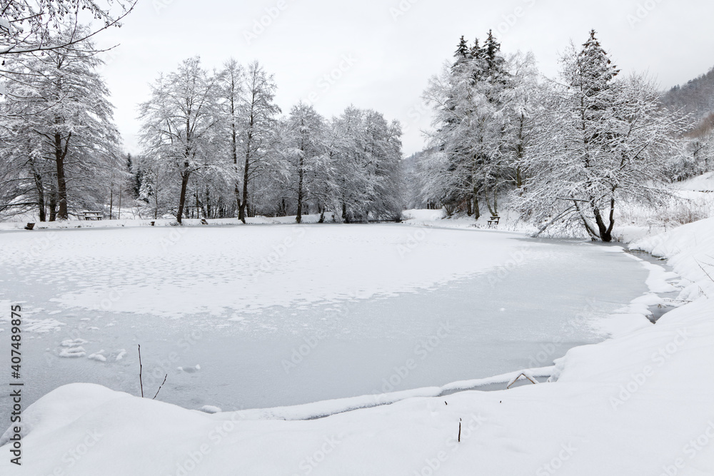 étang gelé en hiver étang gelé en hiver