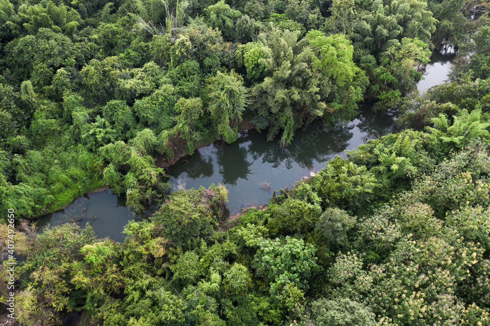 River in abundant tropical rainforest on natural park at countryside River in abundant tropical rainforest on natural park at countryside